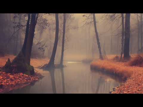 ماتاقشي بيا موسيقى جمهور