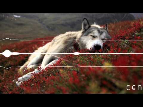 Disco Fries ft. Niko The Kid - The Light