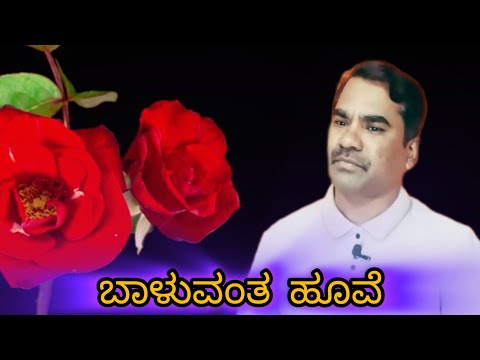 Baaluvanta Hoove | Dr. Rajkumar | Aakasmika | Kannada movie video song
