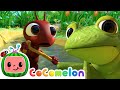 Row, Row, Row Your Boat Ants! | CoComelon Furry Friends | Animals for Kids