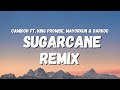 Camidoh ft. King Promise, Mayorkun, Darkoo - Sugarcane Remix (Lyrics) (TikTok Song)