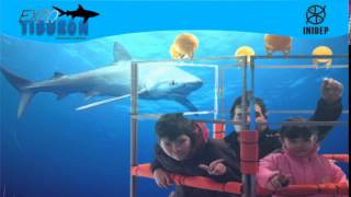 DIA 2 Expo Tiburon305