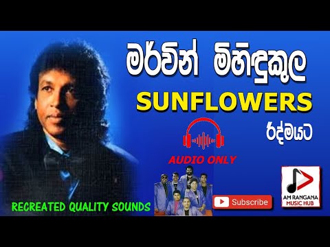 SUNFLOWER WITH MERVIN MIHINDUKULA LIVE SHOW AUDIO පැරණි සන්ෆ්ලවර්ස් RECREATED QUALITY SOUNDS