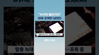 늑구야 집에 가자!…엿새 만에 나타난 늑대, 포획 작전 돌입 #JTBC #Shorts