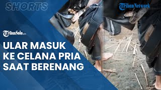 Viral Video Ular Masuk Celana Pria saat Renang, Teman yang Dimintai Tolong Malah Panik & Tak Berani