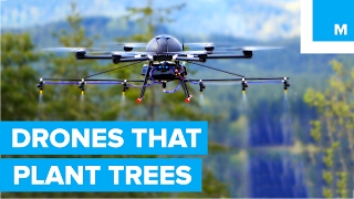 How Drones are Helping to Plant Trees - A Cleaner Future