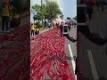 Long Crackers Live