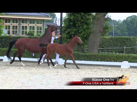 20 - Klasse One hv - F One USA x Vaillant