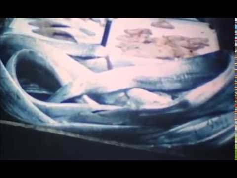 Dans la ville, de Alain Tanner