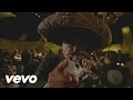 Vicente Fernández - Me Voy a Quitar de en Medio ...