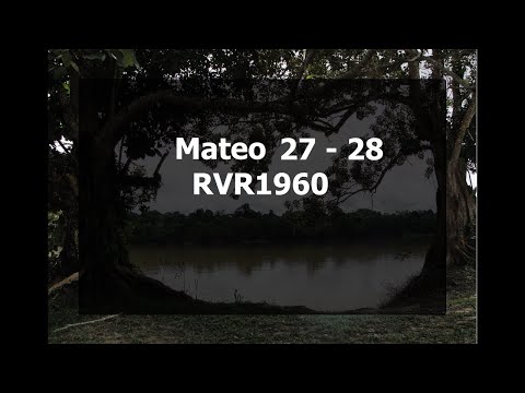 Mateo 27 - 28
