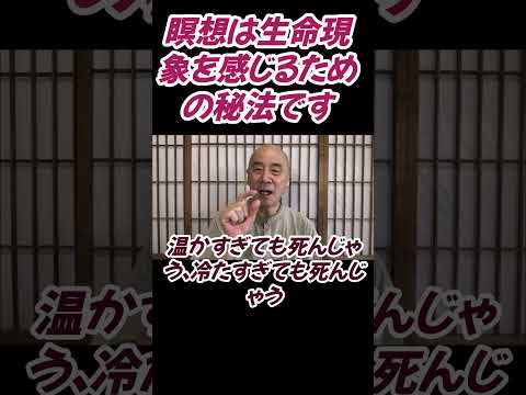 仏教学科 瞑想は生命現象を感じるための秘法ですよ#切り抜き＃健康#仏教＃瞑想＃マインドフルネス＃ヨガ＃健康＃回復