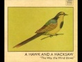 A Hawk And A Hacksaw | Oporto