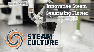 Innovative Steam Generating Flower- Steam Culture