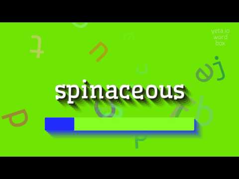 HOW TO PRONOUNCE SPINACEOUS? #spinaceous