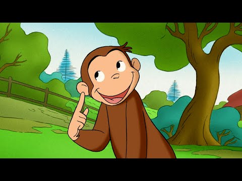George and the Strange Sound!  🐵 Curious George | Animal Friends