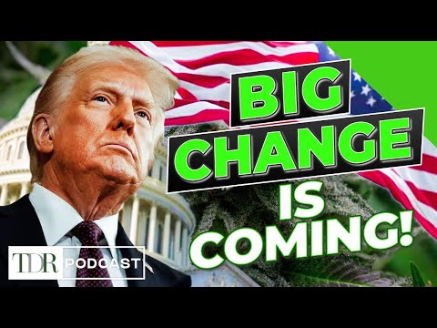 Big Change Is Coming to Cannabis Over the Next 12 Months | TDR Cannabis in 5