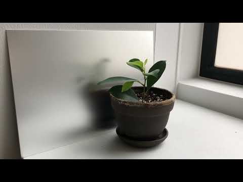 バンドクサルデコール　アルミブラスト仕上げ（AL-127V）