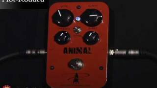 J Rockett Audio Designs Animal Overdrive - What To Know & Where To