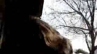 A Movie Script Ending-Death Cab for Cutie