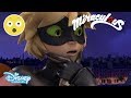Miraculous Ladybug | Cat Noir Sees Marinette’s Transformation?! 😱 | Disney Channel UK