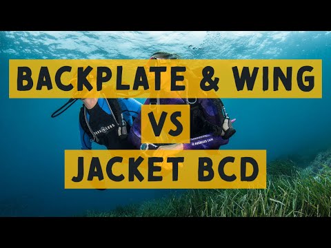 Back Plate And Wing vs Jacket Style BCD, Which Is The Right One?