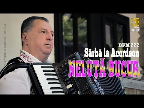 NELUTA BUCUR . Sarba la acordeon [2] (oficial video)