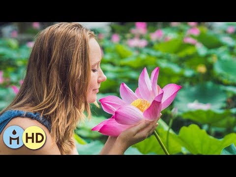 Calme l'Agitation et l'Anxiété: Calmer le Stress Avec Musique Relaxante Douce, Musique Zen