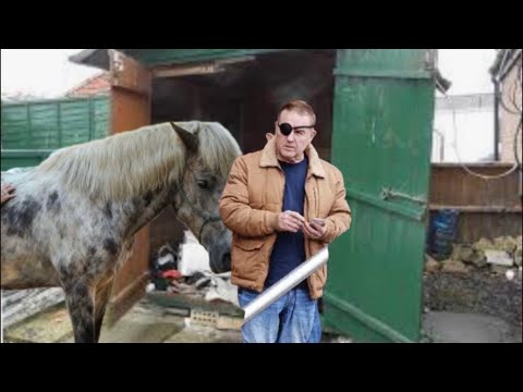 THE HOLLYWOOD BLOCKBUSTER LIVE FROM THE SHED