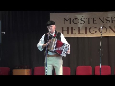 Milan Cingel - Moštenská heligónka 17.1.2016