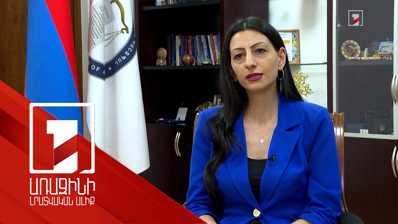 ՄԻՊ-ը առաջարկներ է ներկայացրել ՆԳՆ՝ բռնության դեպքերի առնչությամբ