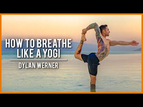 How To Breathe Like A Yogi - Dylan Werner | Modern Wisdom Podcast 282