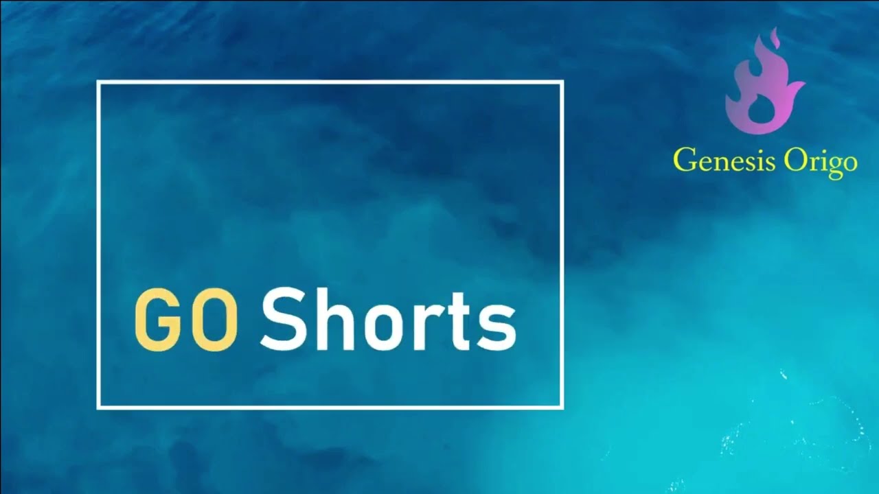 GO Shorts - (ACCA FR) - What is non-monetary item?