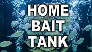 NOW is the Time for a Home Bait Tank