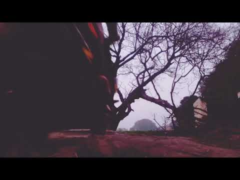 wild ride in evening