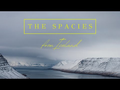 “From Iceland” - Album Trailer