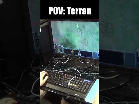 POV: Terran and Protoss in StarCraft 2