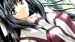 sail on sail on - nrbq