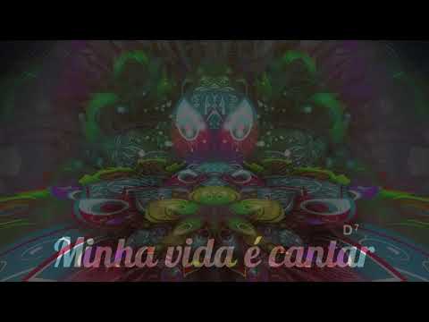 🎼 Sou Beija-Flor ⭐ Cristina Tati ✝️ Santo Daime