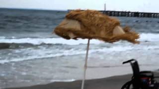 Sunner Summer / molly mix