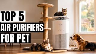 Top 5 Best Pet Air Purifiers 2026 🐾 Fur, Odors, Dander, Gone 🐾
