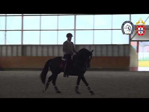 221130 7 Proj  Ensino APSL&FEP - Luis Fernandes com Néscafe