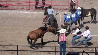 preview picture of video 'Horse Injured at 2010 Cheyenne Frontier Days Rodeo'