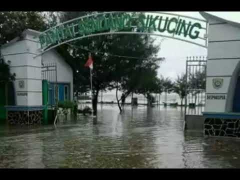 Pantai Sikucing смотреть онлайн на Hahlife