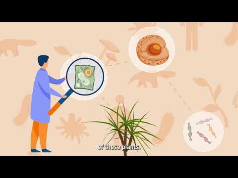 From gene to trait