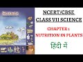 Chapter 1 Class 7 SCIENCE NCERT Nutrition In Plants UPSC PSC CLASSROOM