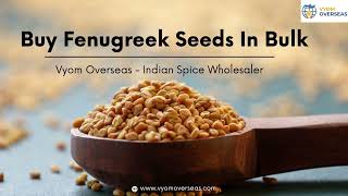 Buy Fenugreek Seeds In Bulk From Spice Exporters - Vyom Overseas