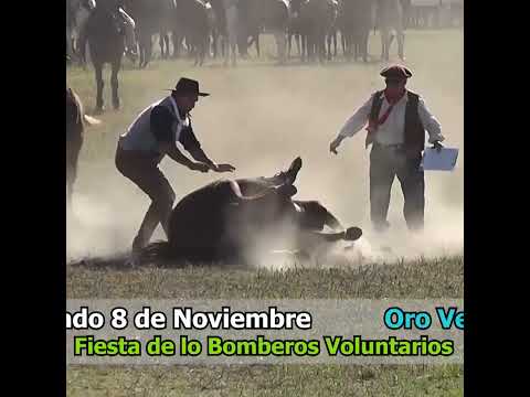 Monta en petisos mayores en Gurupa en Campo Andino Santa Fe