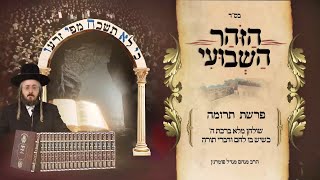 הרב מנחם מנדל פומרנץ | הזוהר השבועי - פרשת תרומה • שולחן מלא ברכת ה' כשיש בו לחם ודברי תורה •