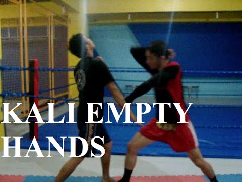 DUMOG - Panantukan: The Empty Hands of Kali / Arnis / Eskrima